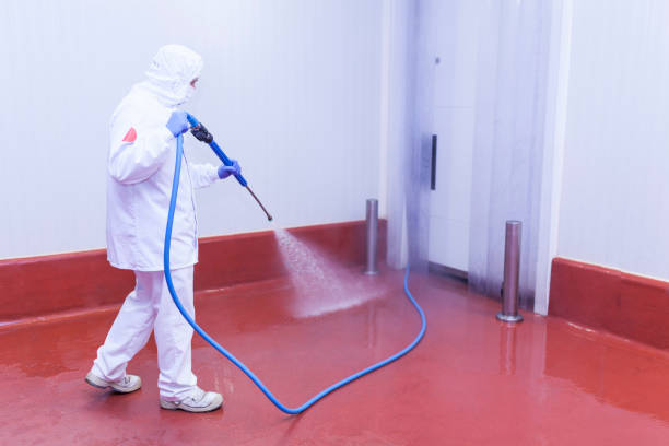 Best Factory Floor Cleaning  in Applewood, CO